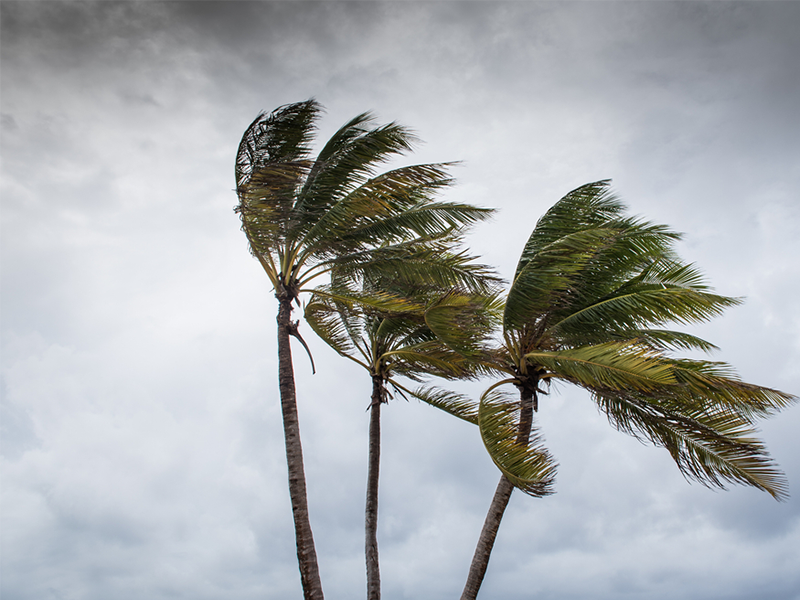 Understanding Weathervaning: Tower Crane Rotation in Storms Explained